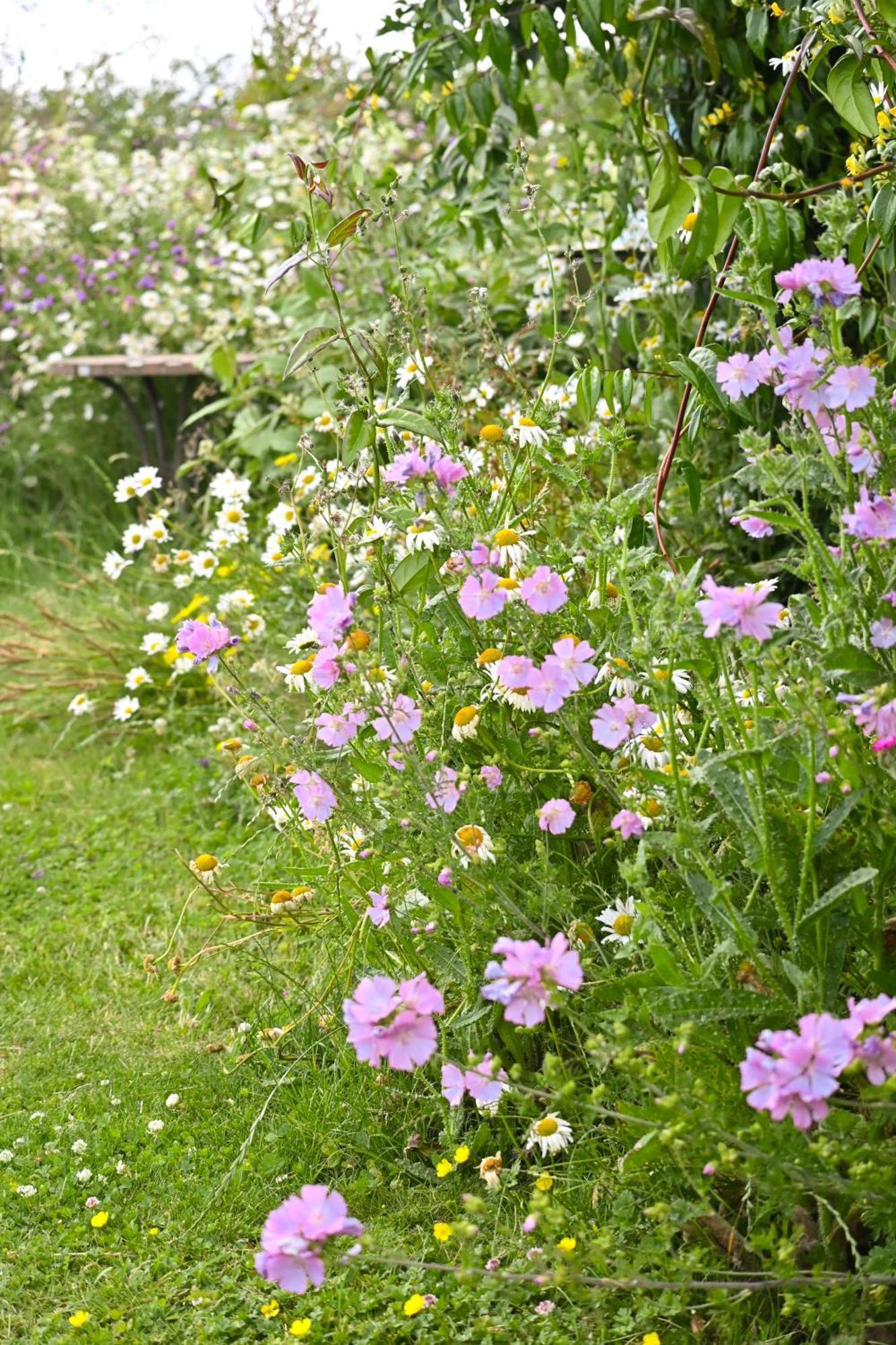 Bluebell Cabin Badsey Eksteriør billede